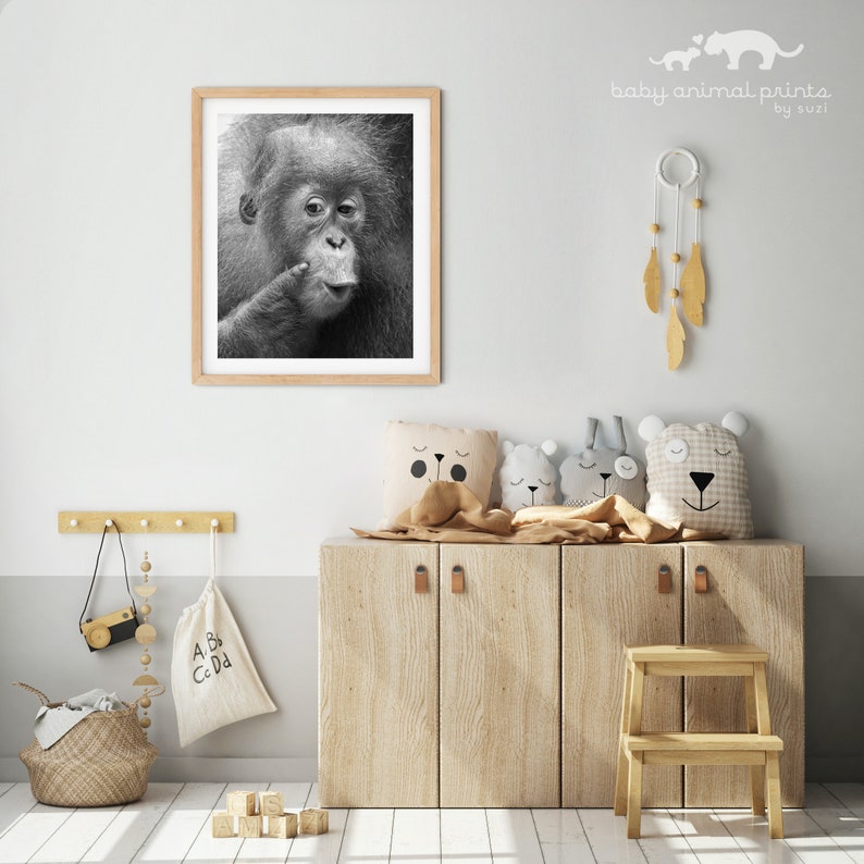 Animal Nursery Art / BABY ORANGUTAN Print / Baby Animal Photo / Kids Room Decor / Baby Monkey / Wildlife Photography / Animal Wall Art / Zoo image 4
