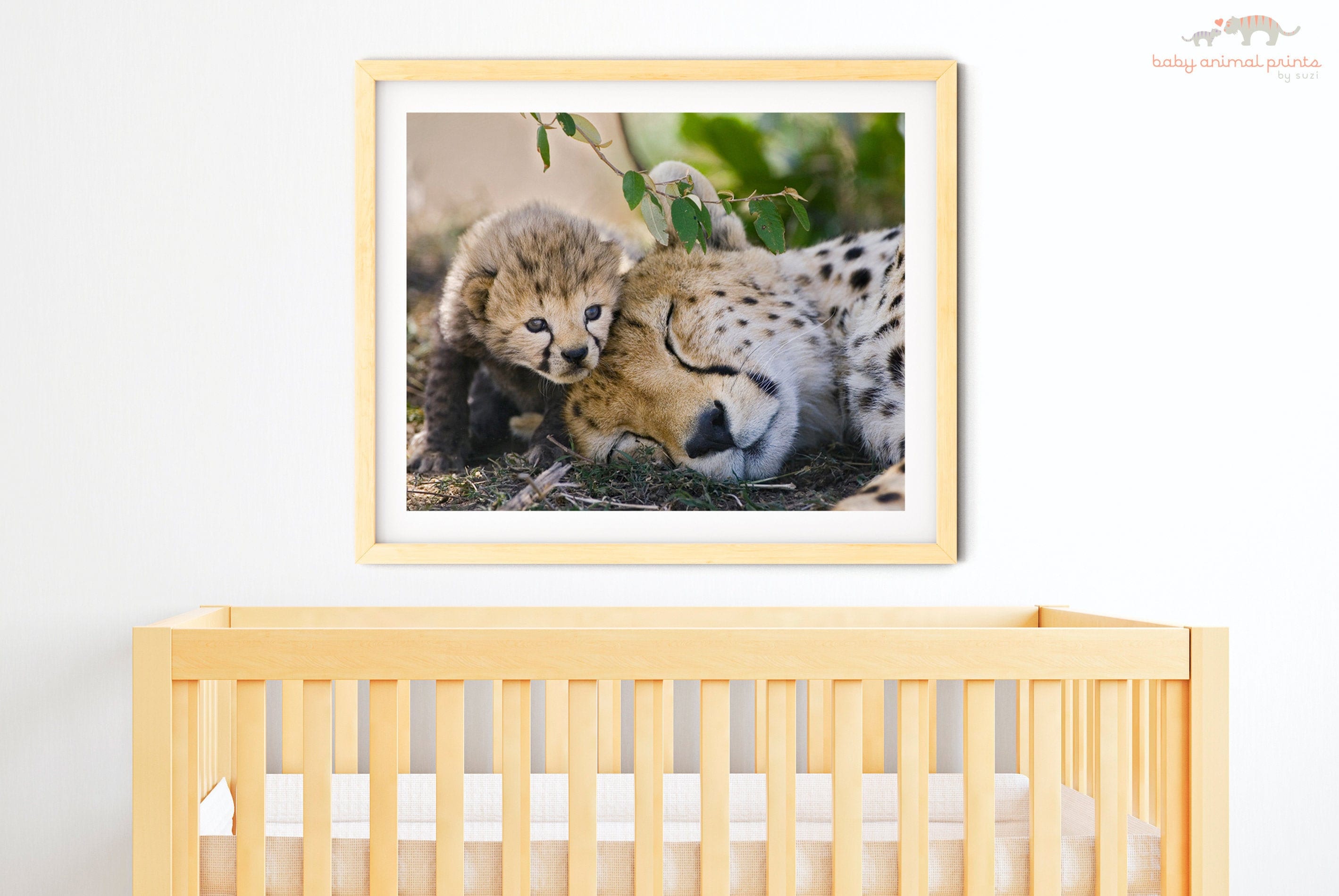 Baby Cheetah Cub Print: Safari Nursery Decor, Wildlife Photography