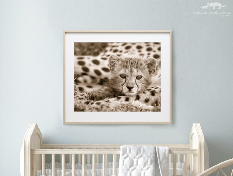 Baby Cheetah Print, Baby Animal Nursery Art, Animal Nursery Decor, Baby Animal Print, Kids Room Decor, Safari Animal, Safari Baby Shower image 1