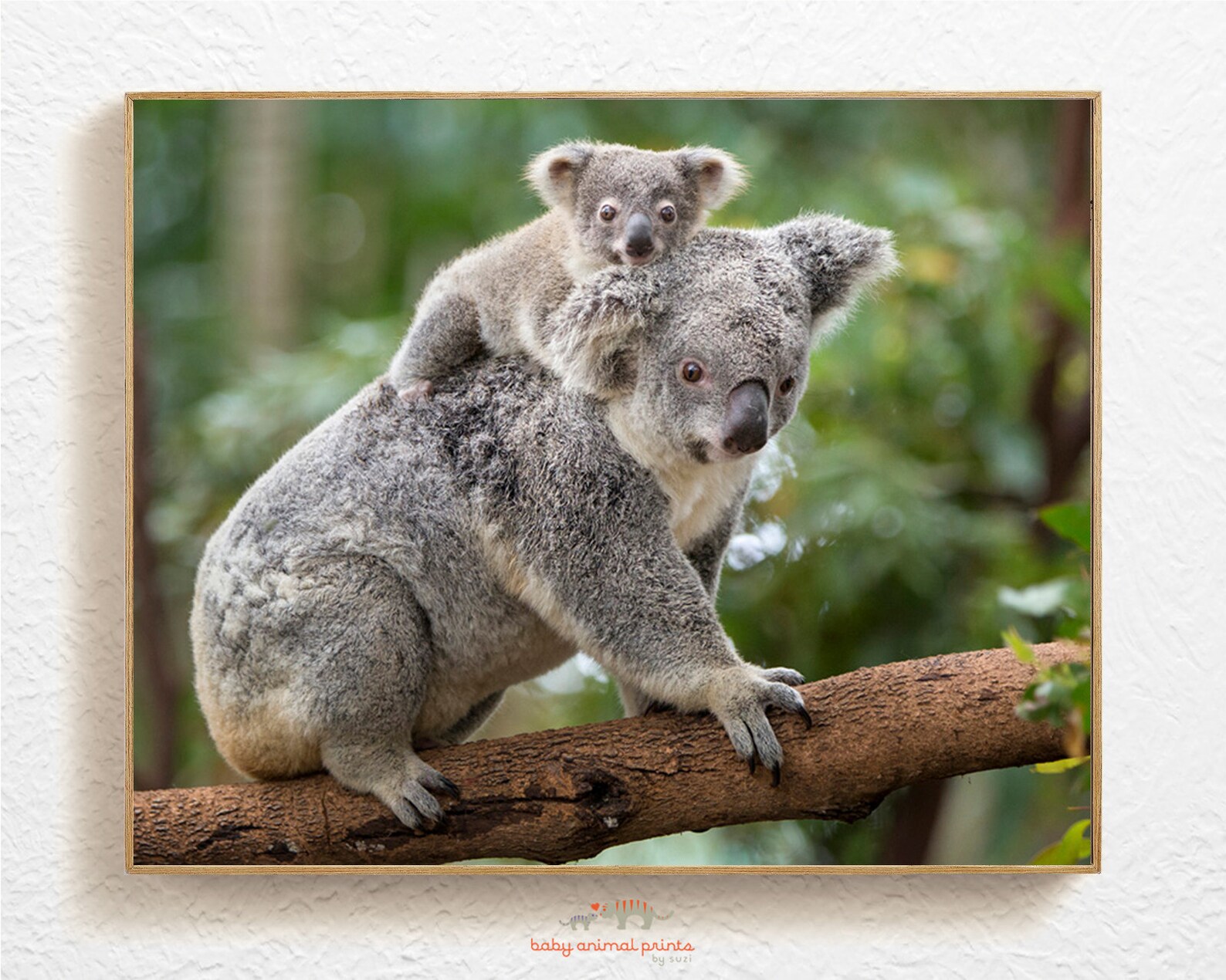 Koalas / Animal Nursery Art / Nursery Decor / Wall Decor / Etsy