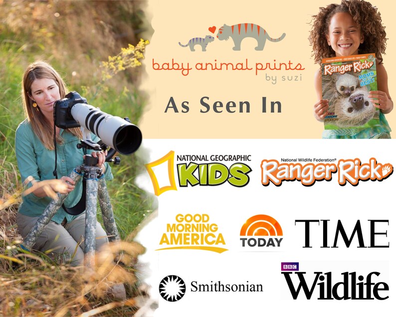 Baby Animal Nursery Art / Baby Orangutan / Jungle Nursery / Animal Nursery Decor / Nursery Wall Art / Baby Monkey / Baby Animal Print / Zoo image 7