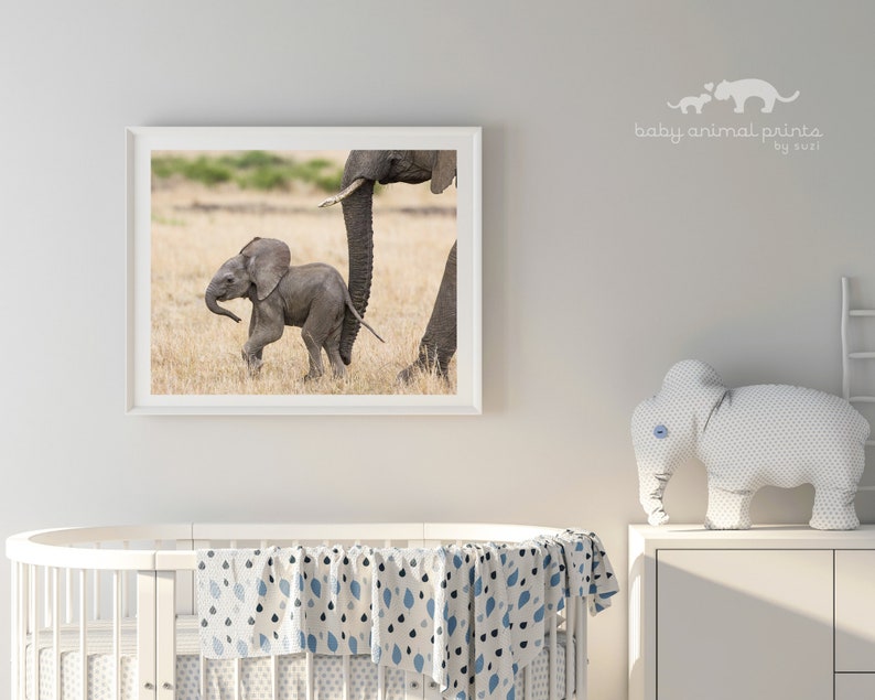 Safari Baby Animal Print, Baby Elephant Print, Safari Kids Room Art Gift, Safari Nursery Art, Baby Animal Nursery Decor, Elephant Gift, Zoo image 2