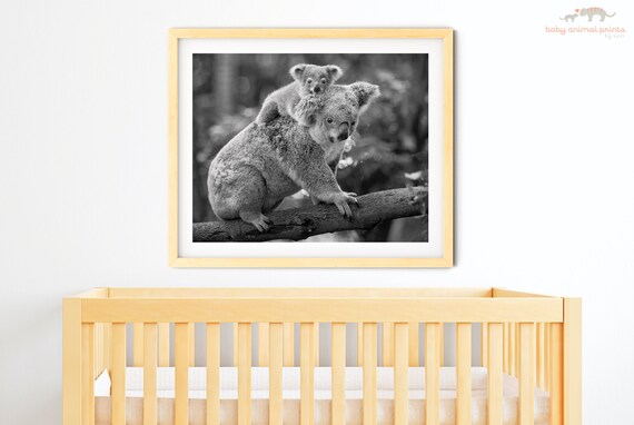 Koala baby keep shop me near bassinet