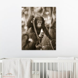 Safari Nursery Art / Baby Chimpanzee / Chimp / Baby Animal Nursery Art / Safari Animal Wall Art / Animal Nursery / Baby Animal Print / Zoo image 2