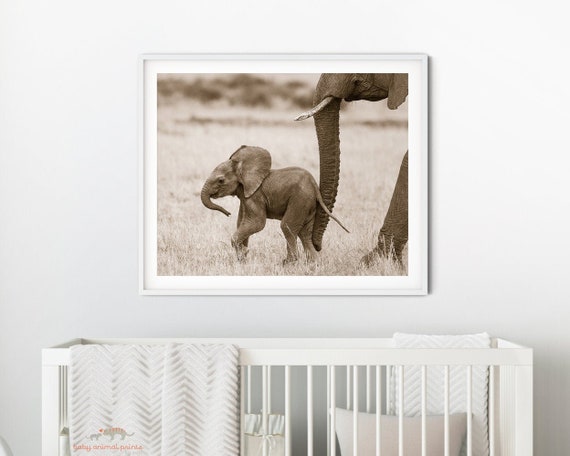 African themed baby room sale