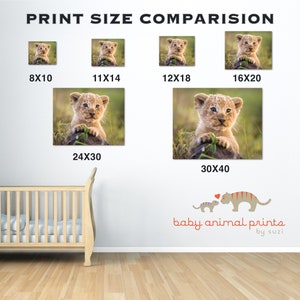 Safari Baby Animal Print, Baby Elephant Print, Safari Kids Room Art Gift, Safari Nursery Art, Baby Animal Nursery Decor, Elephant Gift, Zoo image 5