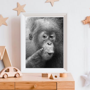 Animal Nursery Art / BABY ORANGUTAN Print / Baby Animal Photo / Kids Room Decor / Baby Monkey / Wildlife Photography / Animal Wall Art / Zoo image 1