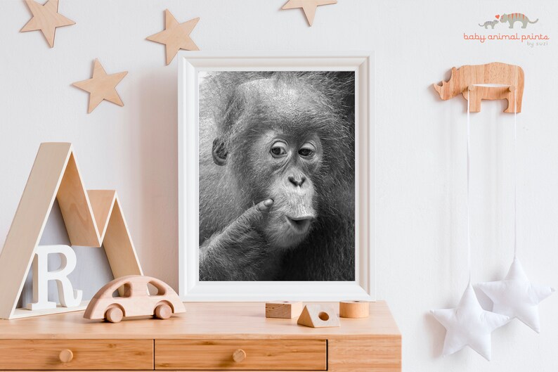 Animal Nursery Art / BABY ORANGUTAN Print / Baby Animal Photo / Kids Room Decor / Baby Monkey / Wildlife Photography / Animal Wall Art / Zoo image 1