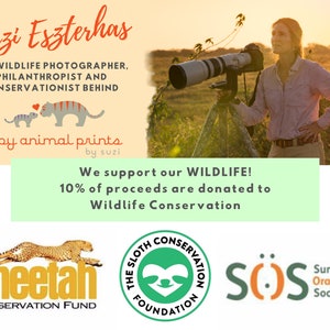 May include: A woman with a camera lens looks towards the sunset. The text "We support our WILDLIFE! 10% of proceeds are donated to Wildlife Conservation" is on a green background. Below are logos for the Cheetah Conservation Fund, The Sloth Conservation Foundation, SOS, and the Sumatran Orangutan Society.