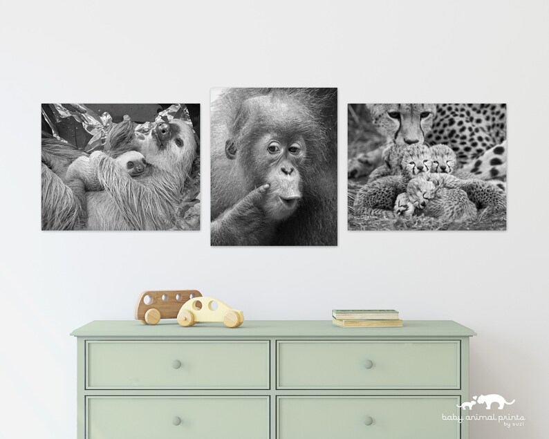 Animal Nursery Art / BABY ORANGUTAN Print / Baby Animal Photo / Kids Room Decor / Baby Monkey / Wildlife Photography / Animal Wall Art / Zoo image 6