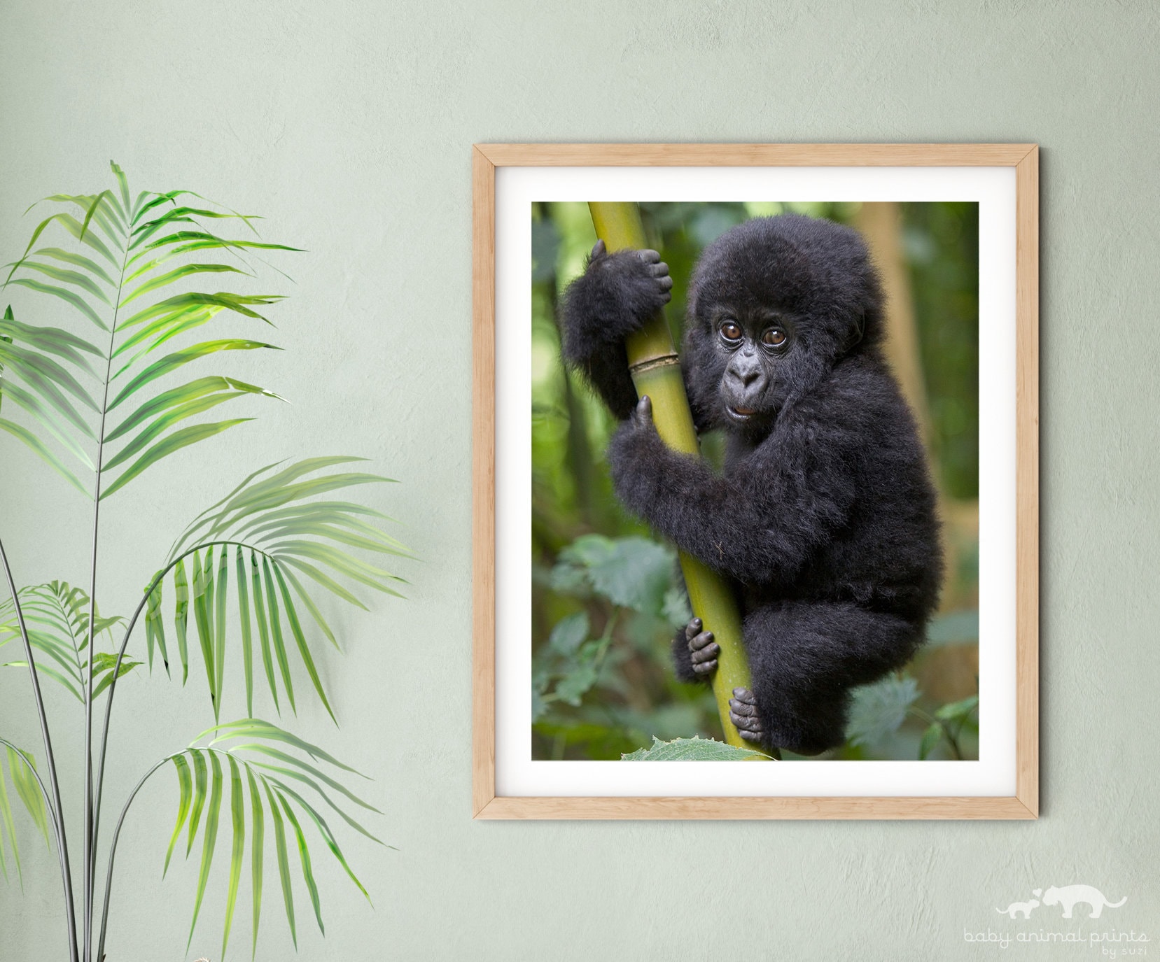 ゴリラの赤ちゃんプリント: サファリ保育園アート by Suzi Eszterhas