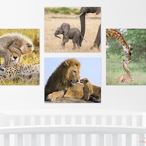 May include: A set of four framed prints featuring baby animals with their parents in the African savanna. The prints show a cheetah cub with its mother, a baby elephant with its mother, a baby giraffe with its mother, and a baby lion with its father.