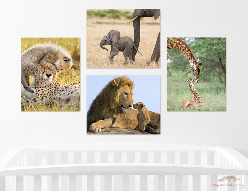 May include: A set of four framed prints featuring baby animals with their parents in the African savanna. The prints show a cheetah cub with its mother, a baby elephant with its mother, a baby giraffe with its mother, and a baby lion with its father.