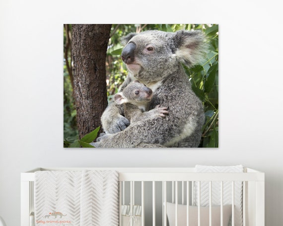 Nursery Animal Art Print, Baby Koala Nursery Print, Koala Gift, Australian  Animal Nursery Decor, Nursery Cute Baby Gift, Nursery Art, Koala -   Canada
