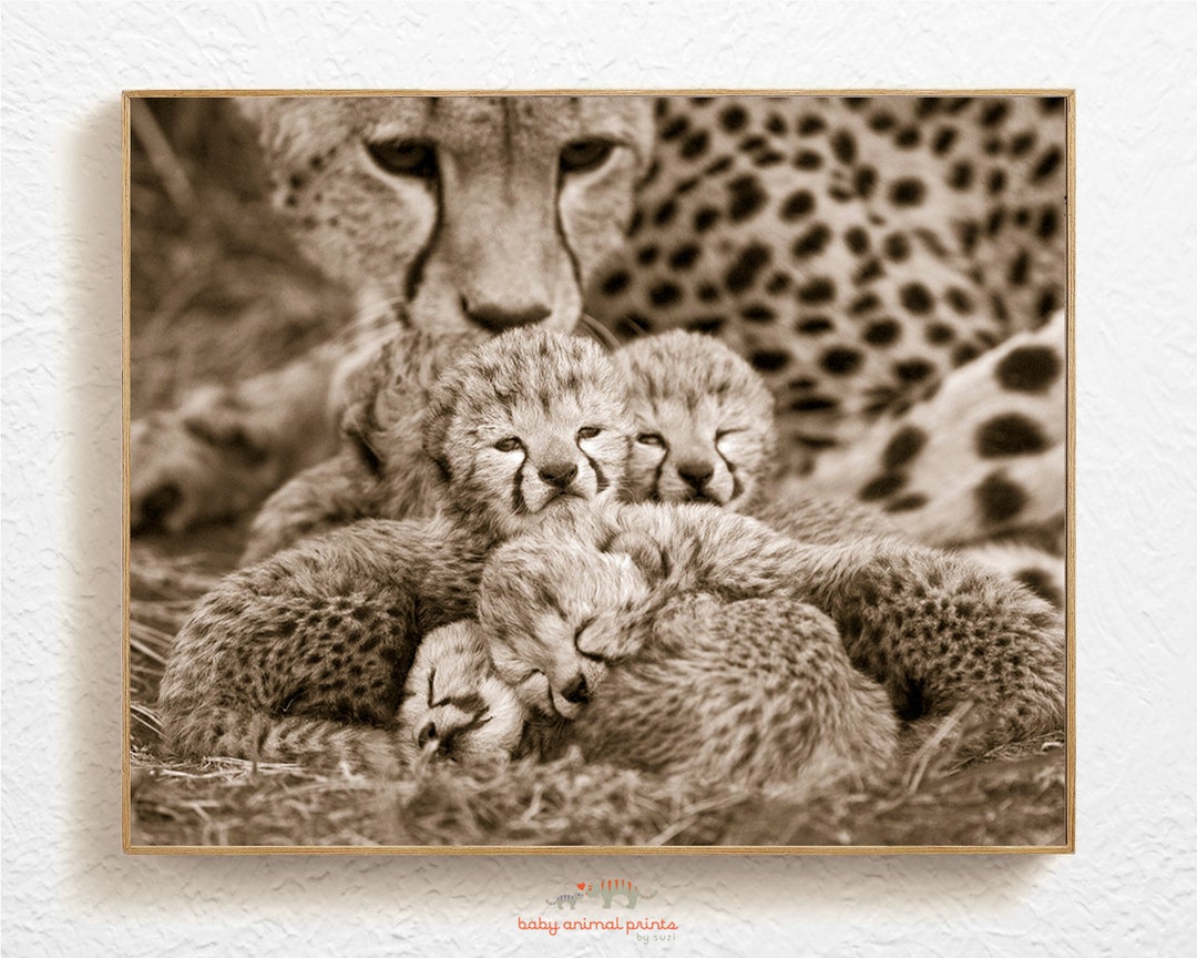Sepiaprint babyluipaardjong: muurkunst safari kinderkamerdieren