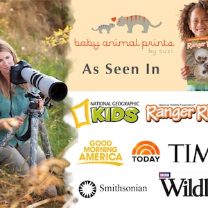 May include: A collage of magazine covers and logos featuring baby animal prints. The logos include National Geographic Kids, Ranger Rick, Good Morning America, Today, Time, Smithsonian, and BBC Wildlife.