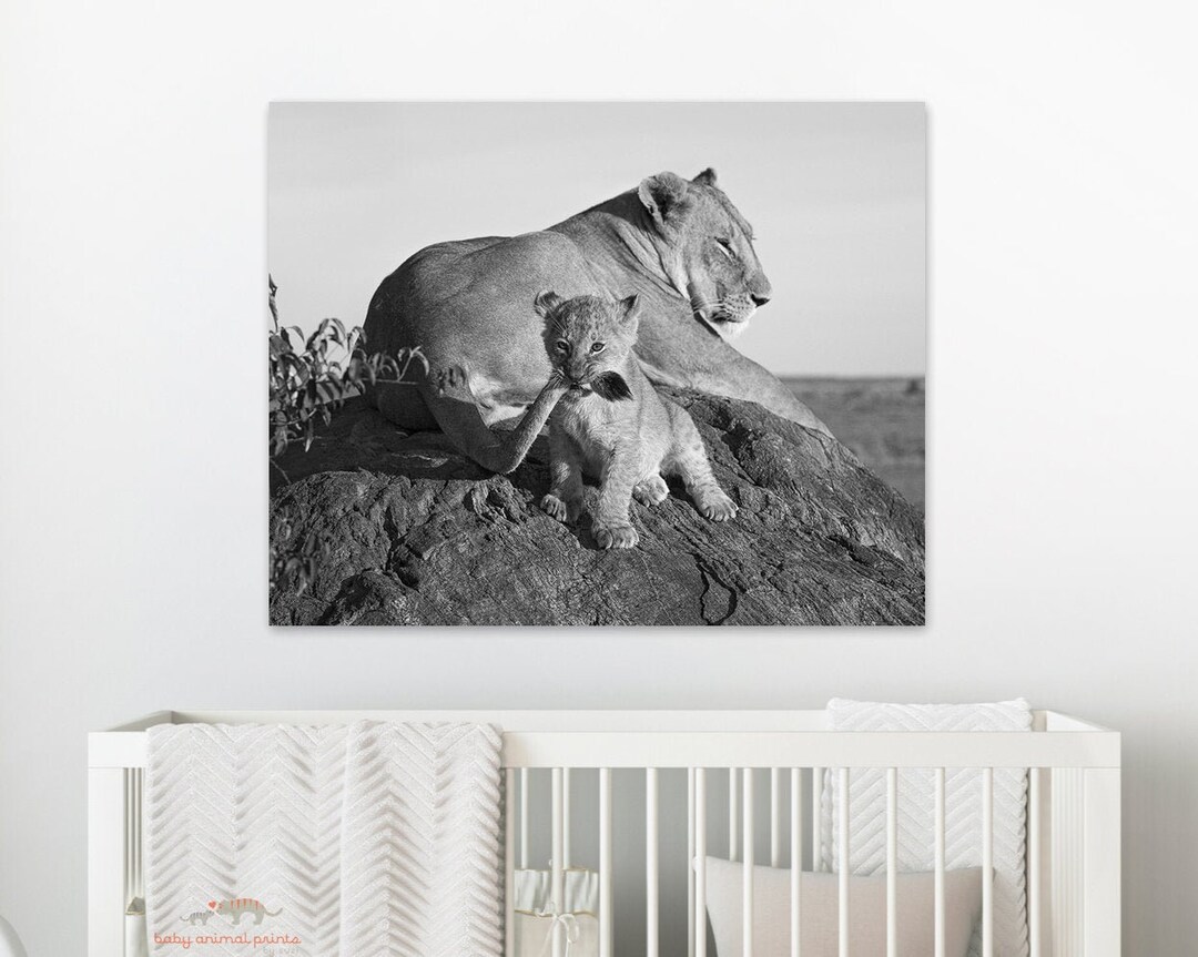 Animal Nursery Decor, Baby Lion Print, Lion Cub, Baby Room Decor