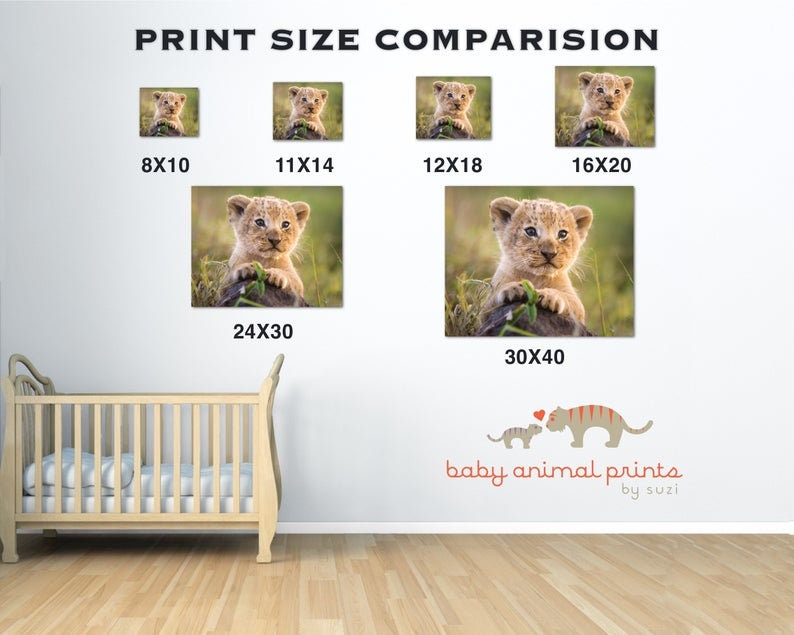 Baby Cheetah Print, Baby Animal Nursery Art, Animal Nursery Decor, Baby Animal Print, Kids Room Decor, Safari Animal, Safari Baby Shower image 6