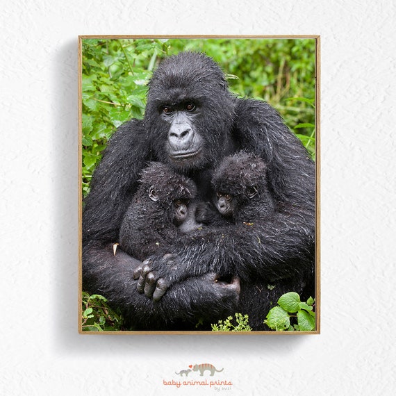 Poster Lettera A Per Cameretta - DIN A4, Carta 300g/m², Design Scimmia Dolce - Foto 3