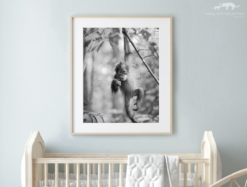 Baby Animal Nursery Art / Baby Orangutan / Jungle Nursery / Animal Nursery Decor / Nursery Wall Art / Baby Monkey / Baby Animal Print / Zoo image 1