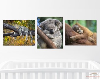 Safari Nursery Decor / Safari Animal Prints / Nursery Wall Art / Jungle Animals / Baby Room / Baby Animal Prints / Nursery Print / Kids Room