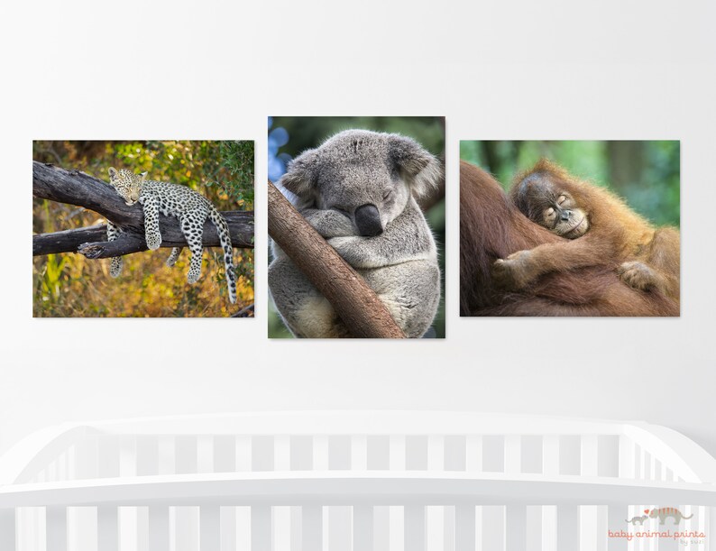 Safari Nursery Decor Safari Animal Prints Nursery Wall Art Jungle Animals Baby Room Baby Animal Prints Nursery Print Kids Room