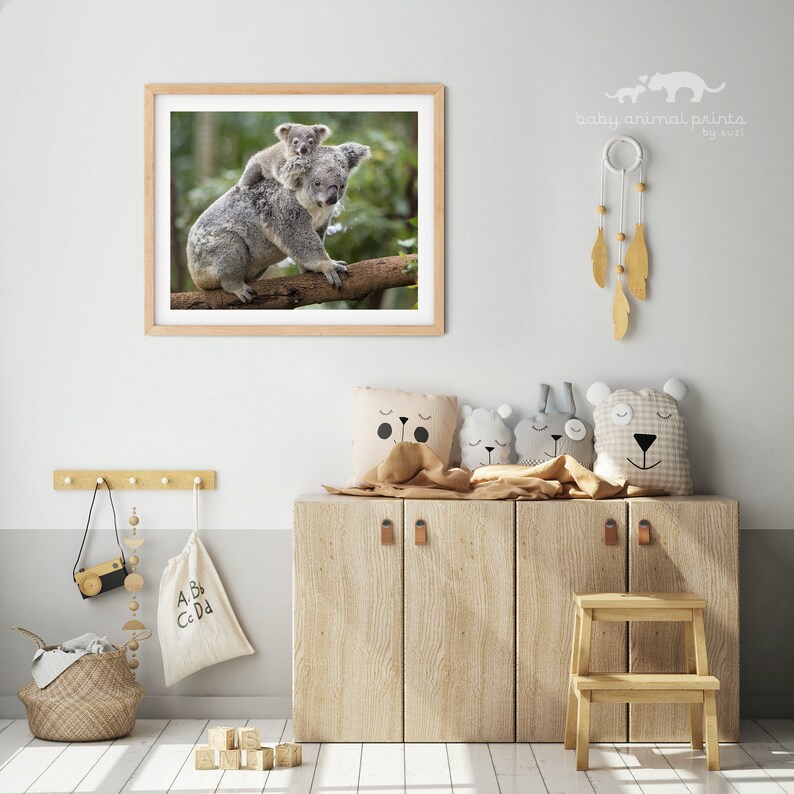 Baby Koala Print Australian Nursery Animal Decor Animal Etsy