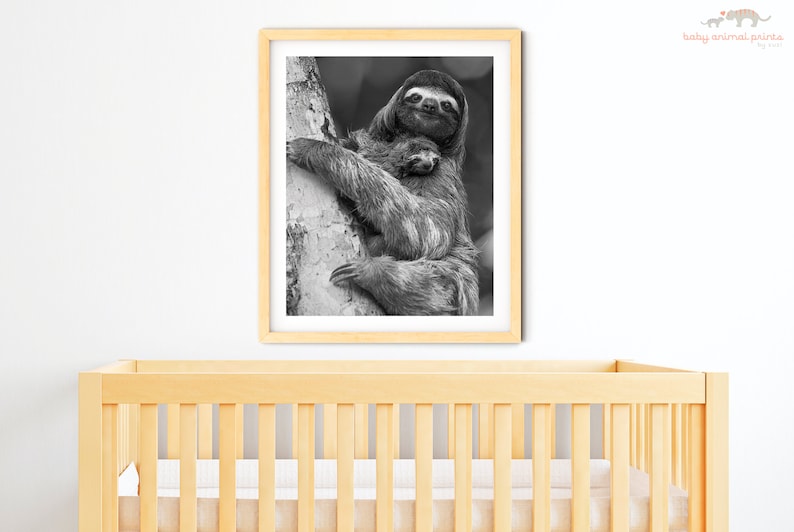 Nursery Decor / Sloth / Sloth Gift / Baby Nursery / Baby Animal Print / Jungle Nursery Art / Childrens Room Decor / Baby Shower / Wildlife image 6