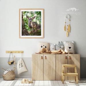 May include: A framed print of a baby deer standing in a forest setting. The print is hanging on a white wall in a nursery with a wooden cabinet, a small stool, and a dreamcatcher.