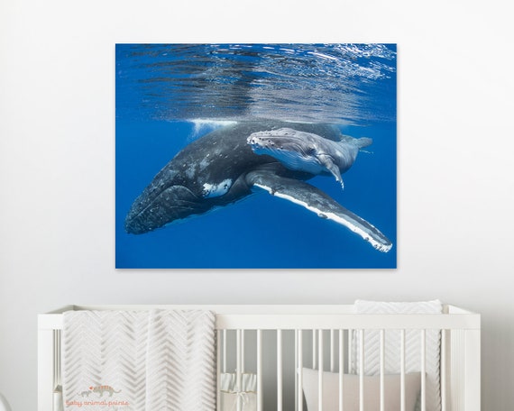 Animal Nursery Decor Ocean Whale Suncatcher Cute Animals