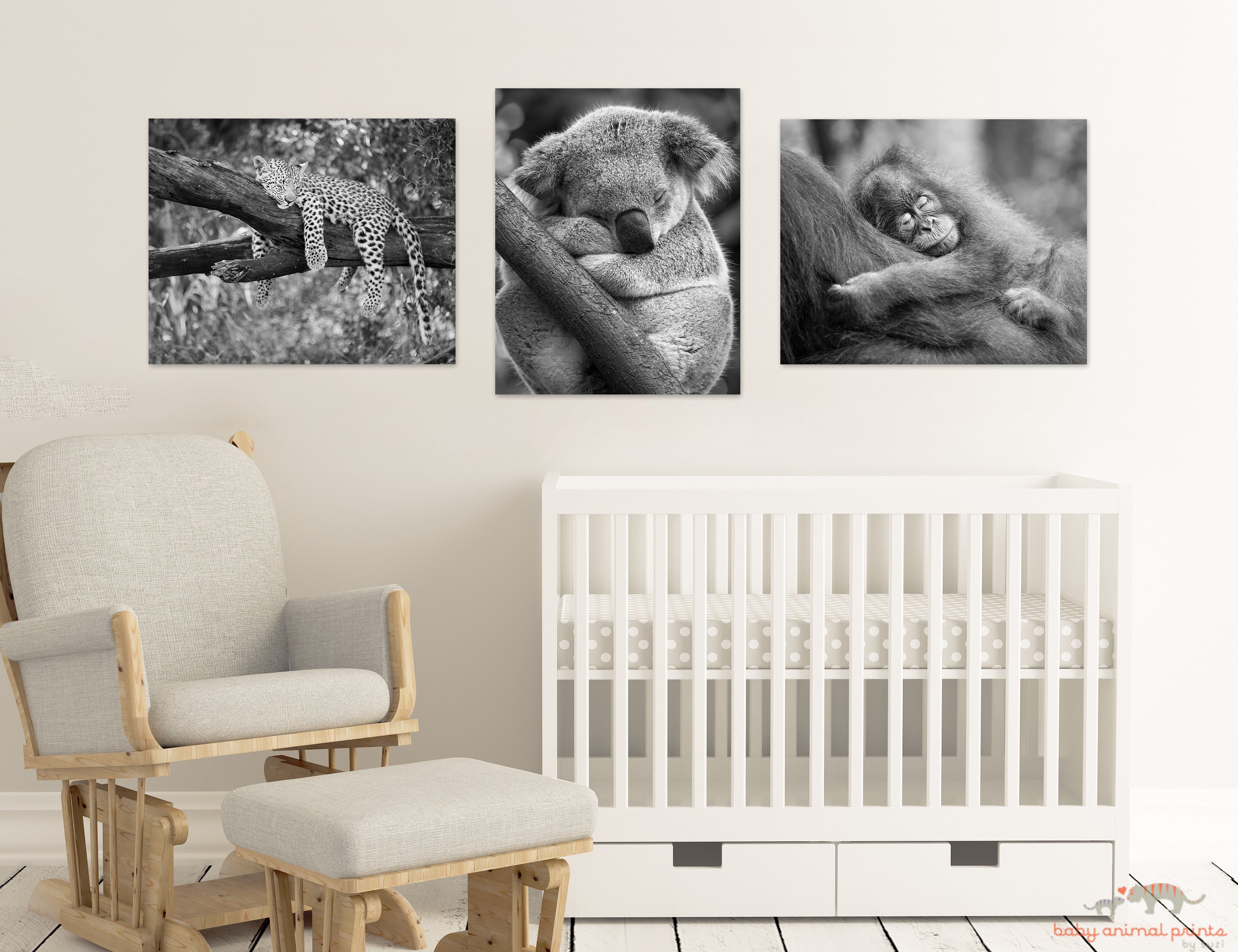 Safari Nursery Decor Black and White Safari Animal Prints