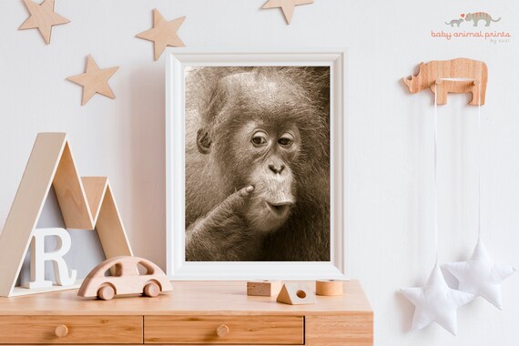 baby animal wall art