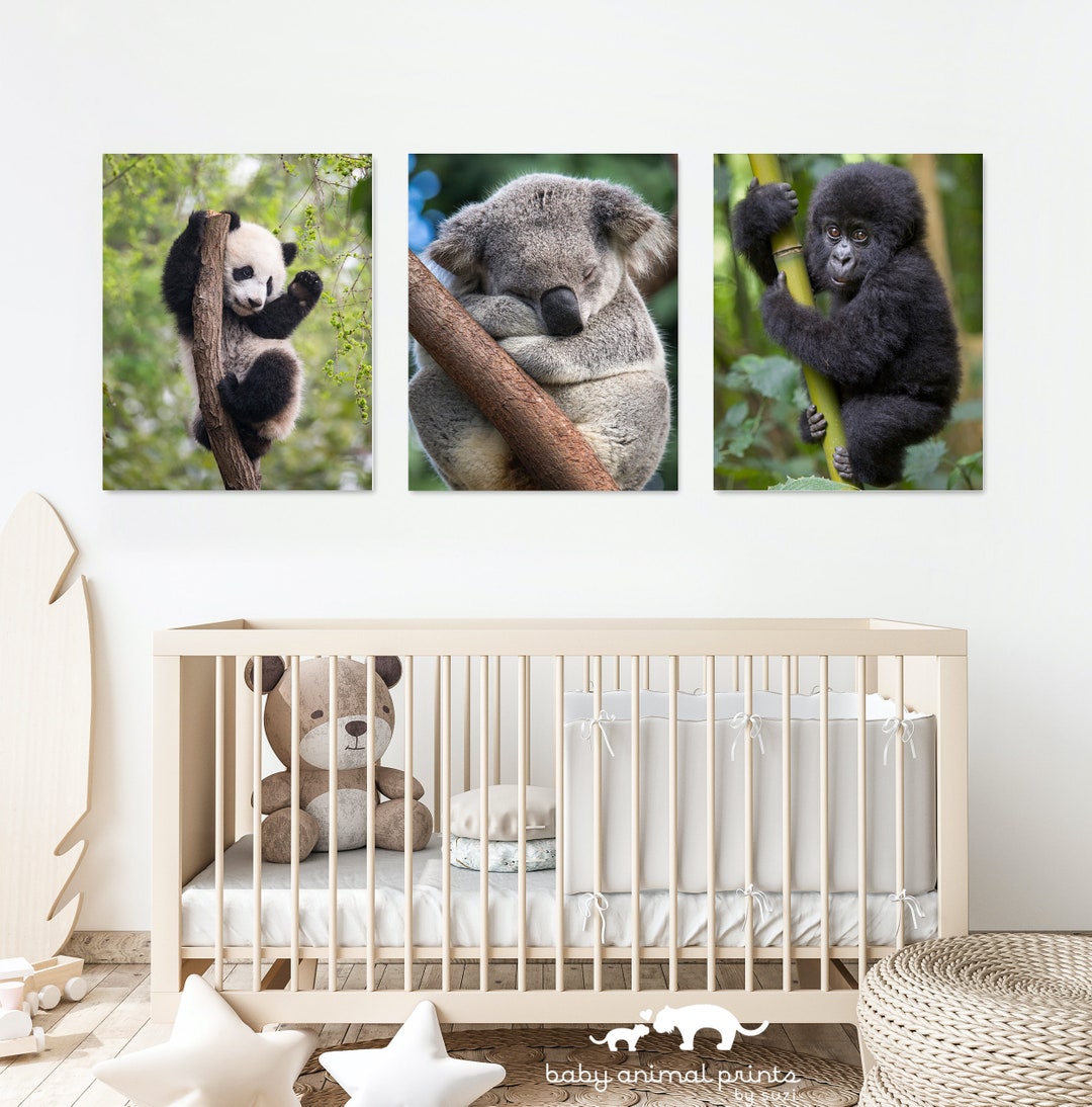 Baby Animal Nursery Decor, Panda Print, Koala Art, Nursery Wall Art ...
