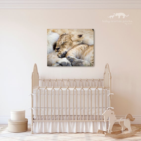 baby animal nursery theme