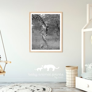 Safari Animal Nursery Art / Baby Giraffe Print / Animal Nursery Decor / Baby Animal Print / Nursery Wall Art / Kids Room Decor / Zoo Animals image 4