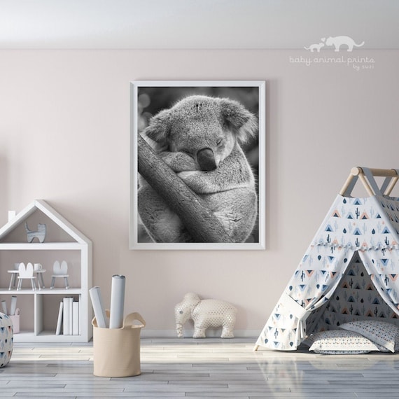 Koala Nursery Decor Koala Print Baby Animal Nursery Art Koala