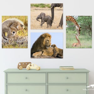 May include: A set of four animal prints featuring a lion and lion cub, a cheetah and cheetah cub, a giraffe and giraffe cub, and an elephant and elephant calf. The prints are all in a natural setting and feature the animals in a loving embrace.
