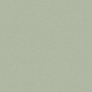 May include: A close-up of a light green textured surface. The surface features a repeating pattern of small, interconnected circles, resembling a honeycomb. The overall effect is subtle and uniform, with a consistent texture.