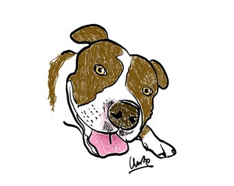 Retrato digital de mascota, dibujo de retrato de mascota, regalo personalizado, pintura a partir de una foto, retrato de gato, retrato de perro