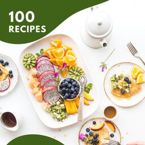 VEGAN Cookbook 100  RECIPES