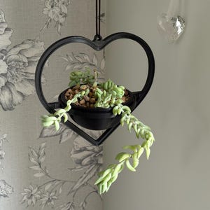 Heart Shaped Hanging Plant Pot, Plant Hanger