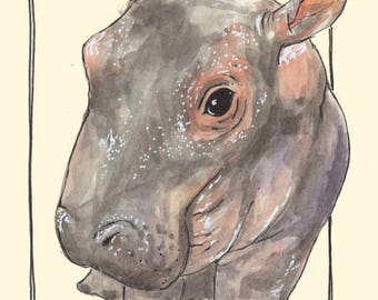 Bashful Fiona the Hippo Watercolor Art Print, Animals, Zoo, Cincinnati Art