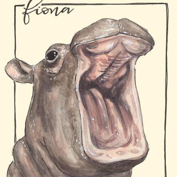 Happy Fiona the Hippo Watercolor Art Print, Animals, Zoo, Cincinnati Art