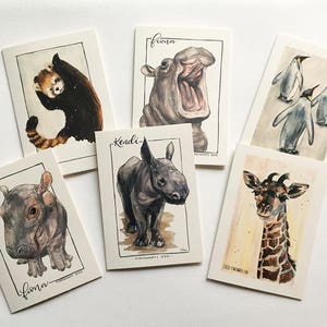 Cincinnati Zoo Tiere - 6er Pack Grußkarten Set