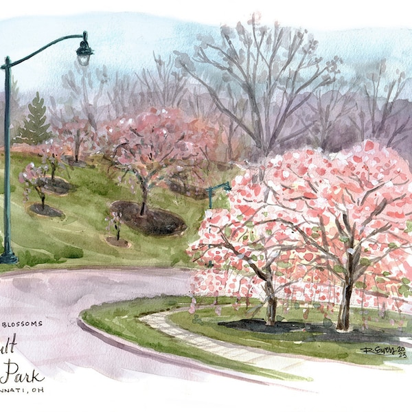 Cherry Blossoms at Ault Park, Cincinnati Parks, Watercolor Art