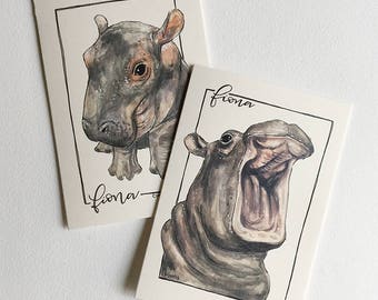 Fiona the Hippo Greeting Cards (Single and Packs)