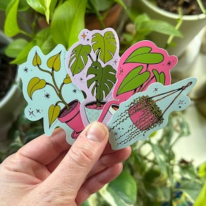 Plant Stickers; Monstera, String of Pearls, Elephant Ear, Philodendron Plant Sticker Pack