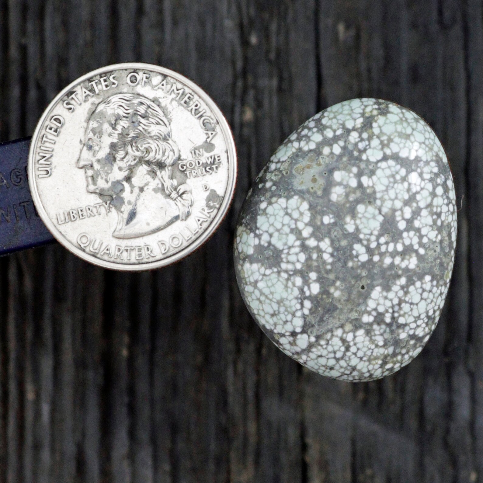 Turquoise Cabochon Dry Creek Mine White Turquoise B1 Nevada Etsy