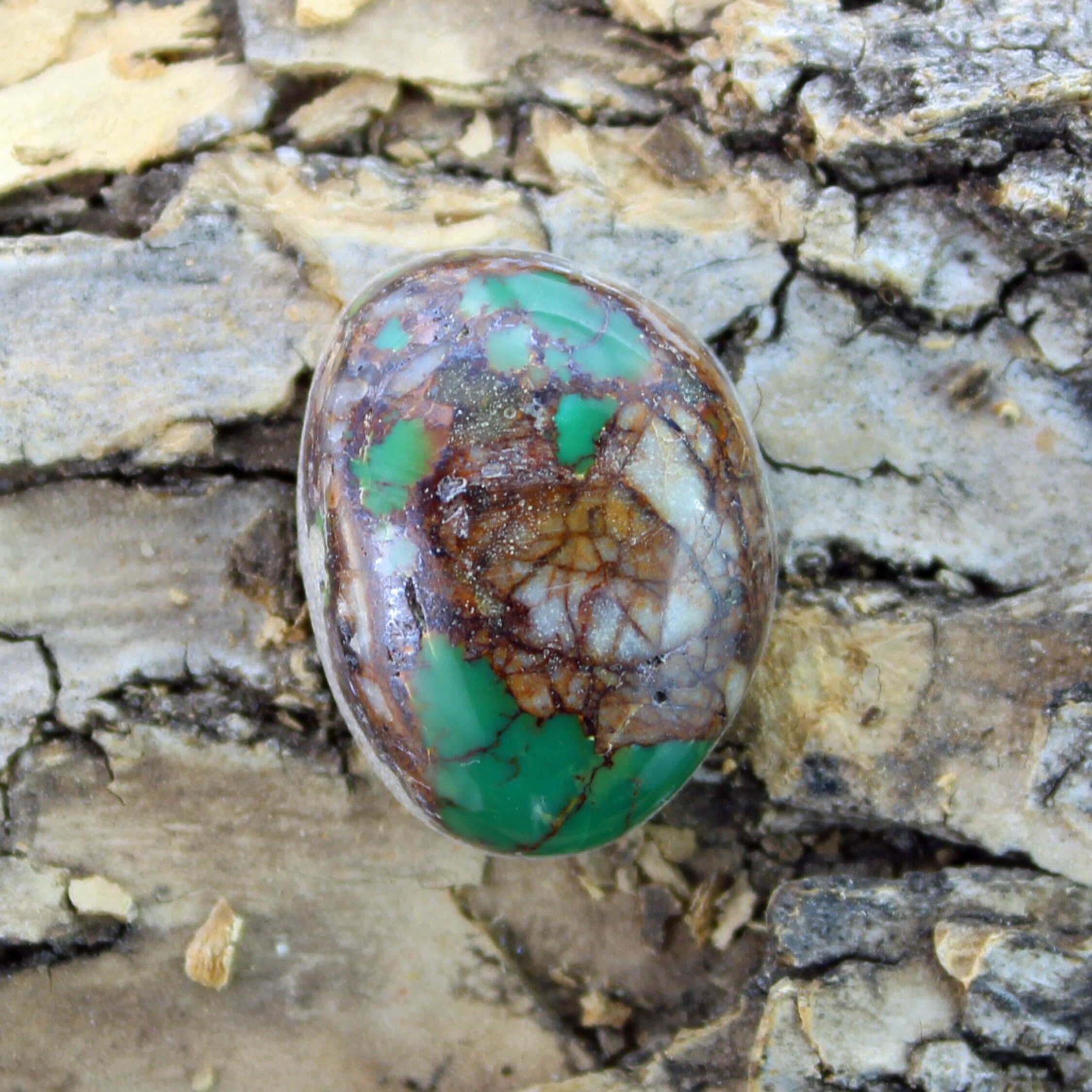 Turquoise Cabochon Kings Manassa Colorado Mine Cabochon, B81 Etsy Israel