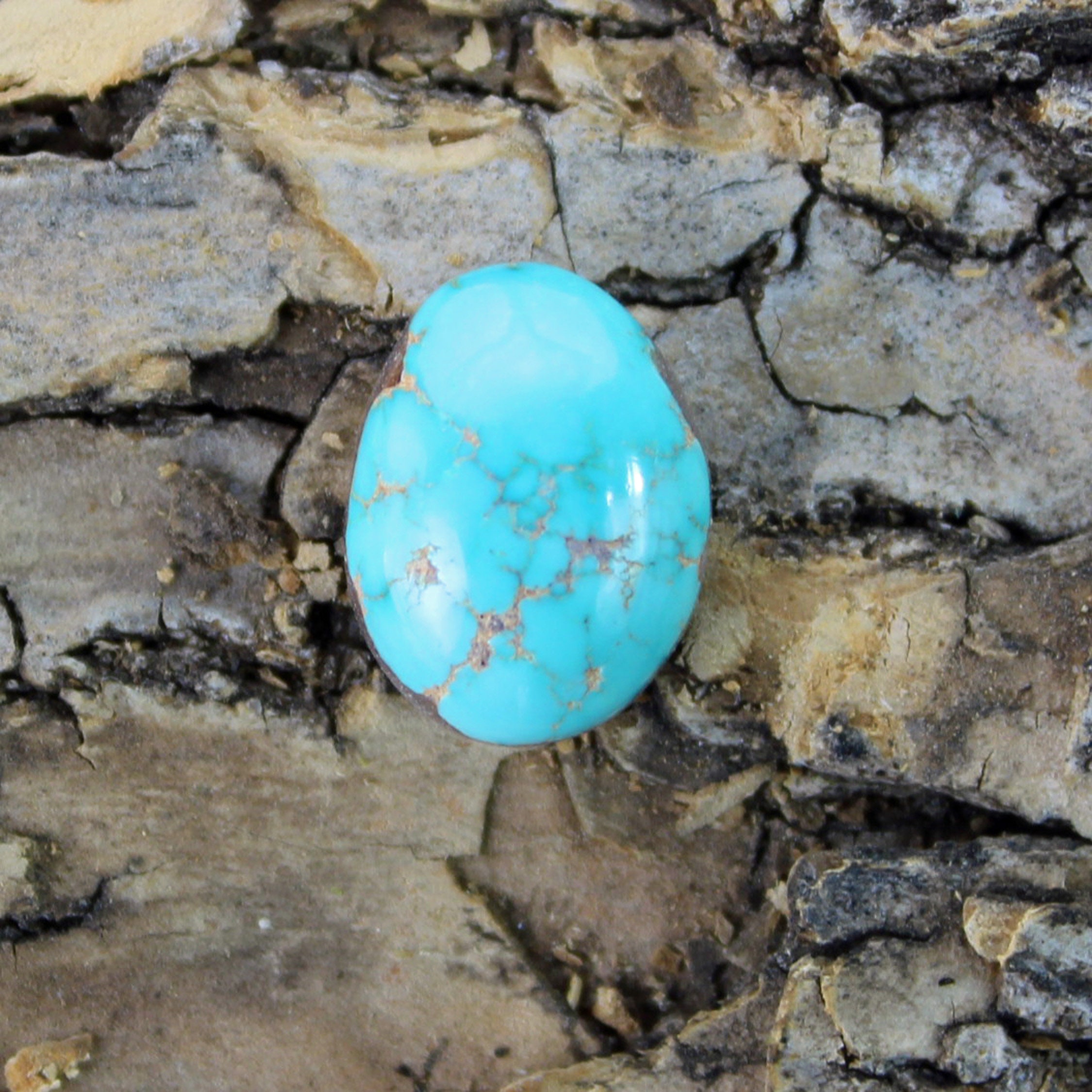 Turquoise Cabochon Carico Lake Mine Nevada Natural Blue B-98 - Etsy